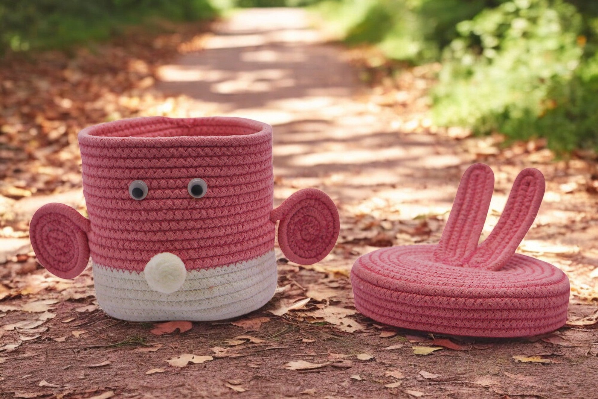 Bunny-Themed Baby Girl Announcement Boxes