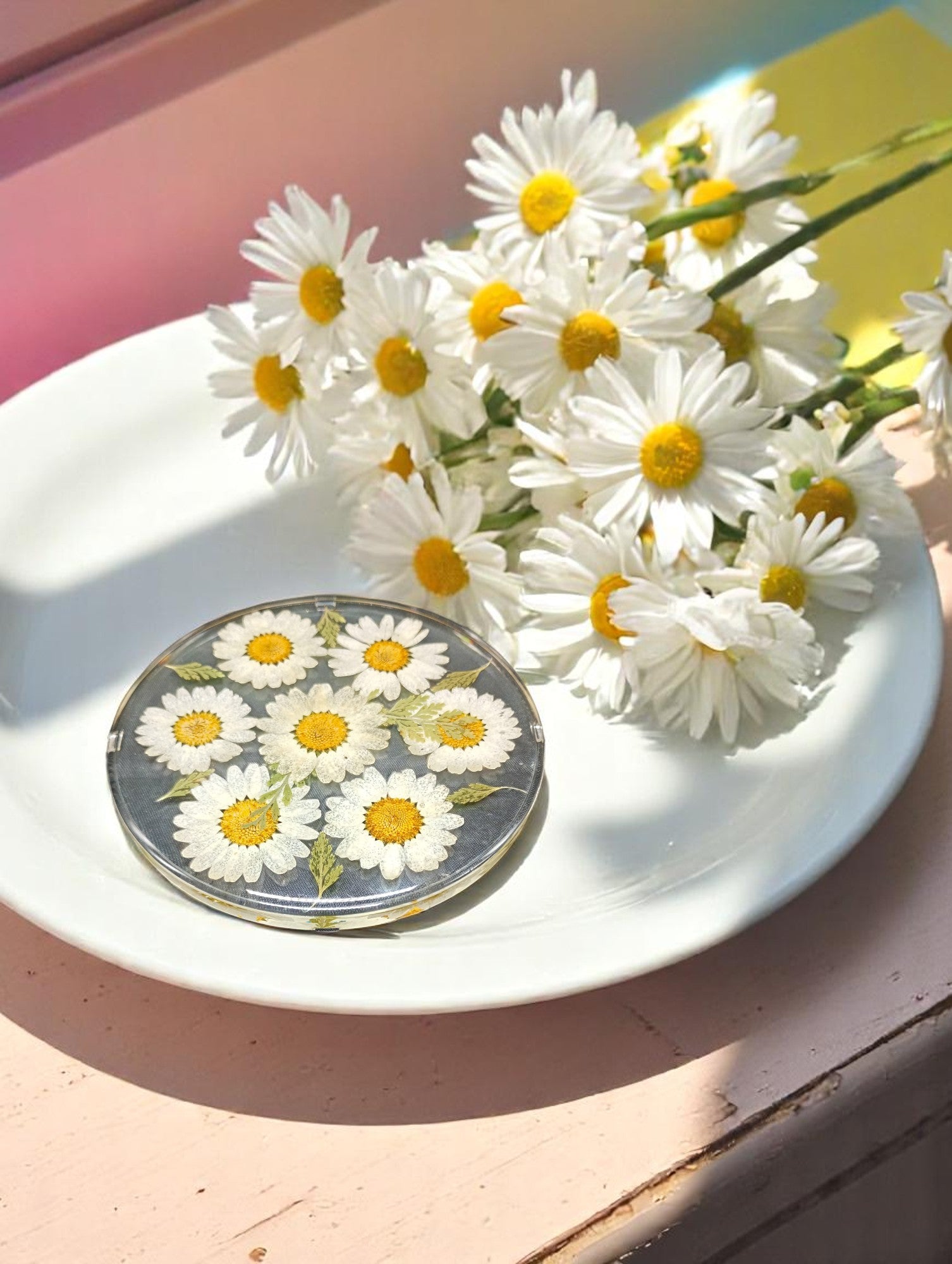 FLO's Daisy Delight Coaster Set