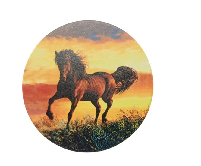 FLO's Majestic Horses Coaster