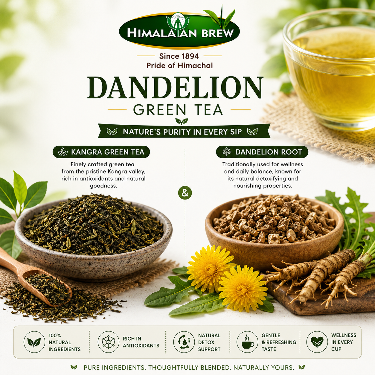 Dandelion Green Tea