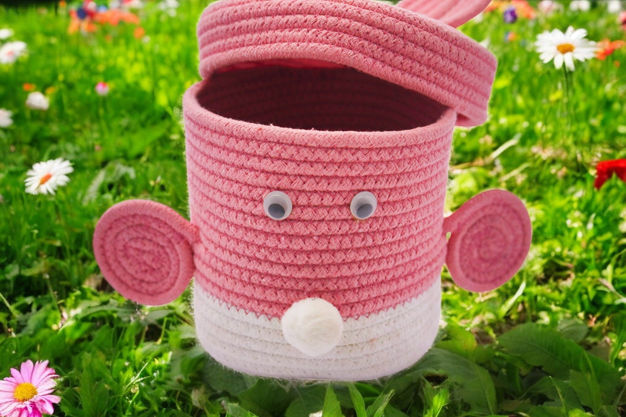 Bunny-Themed Baby Girl Announcement Boxes
