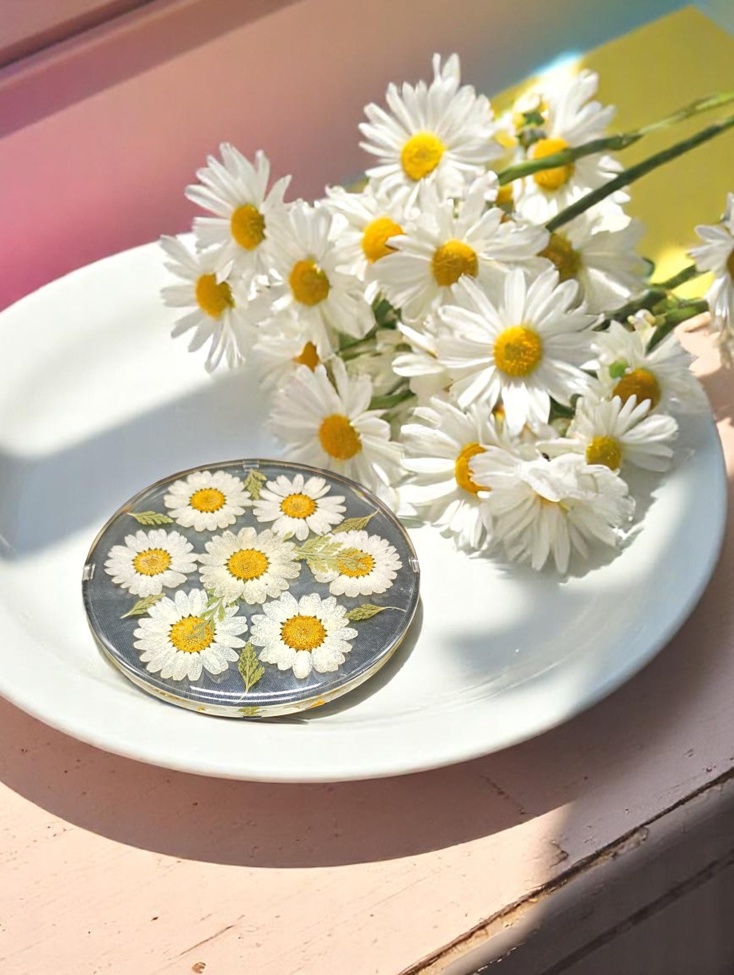 FLO's Daisy Delight Coaster Set