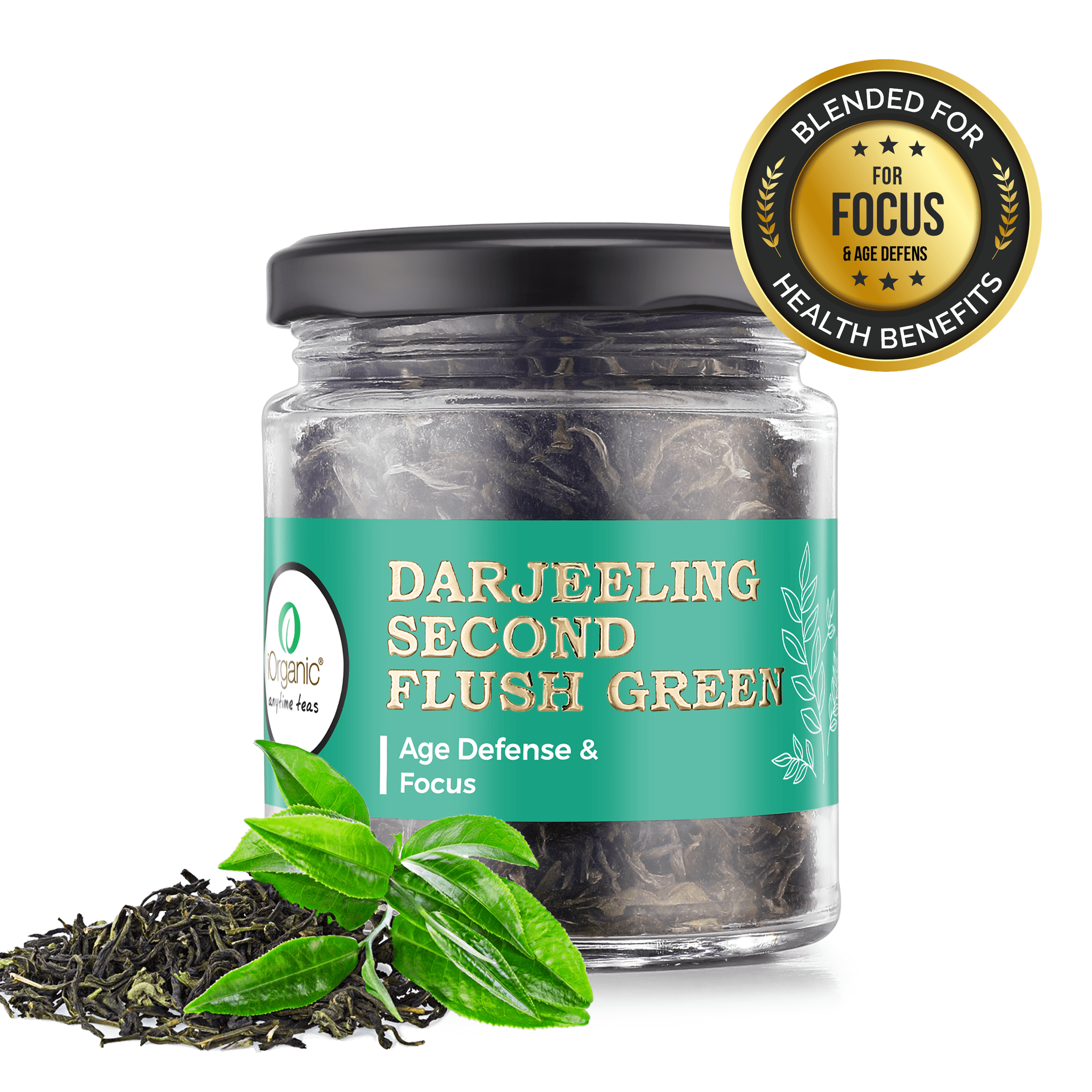 Darjeeling Second Flush Green Tea loose leaf in gift tin, sourced from Darjeeling tea gardens
